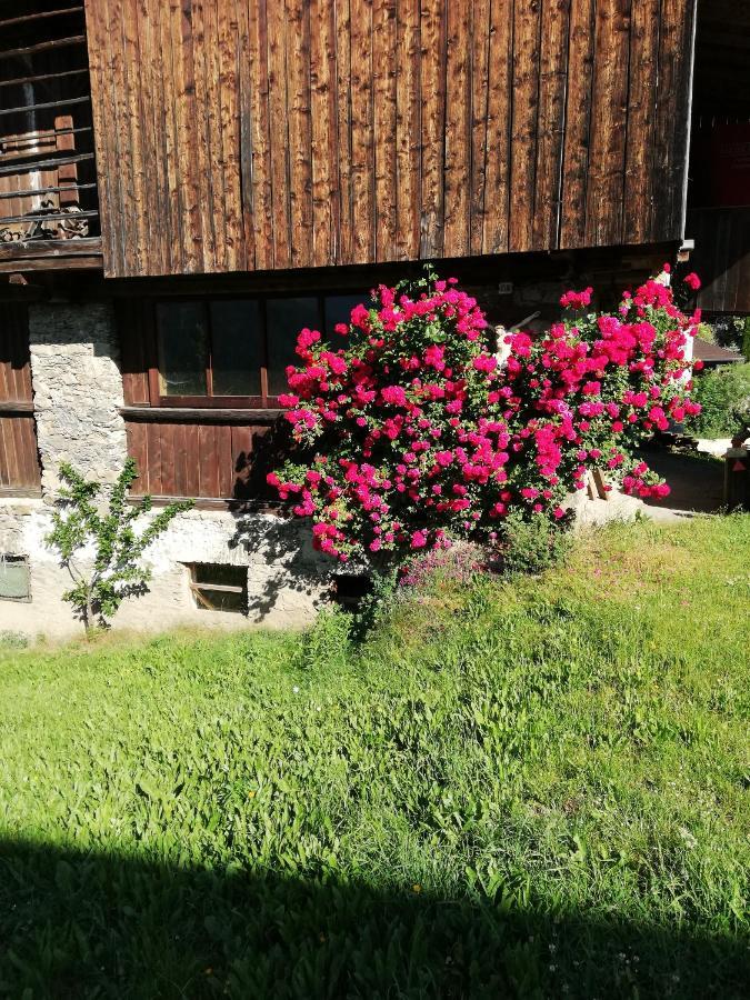 Ledererhof Villa Oberlienz Eksteriør billede